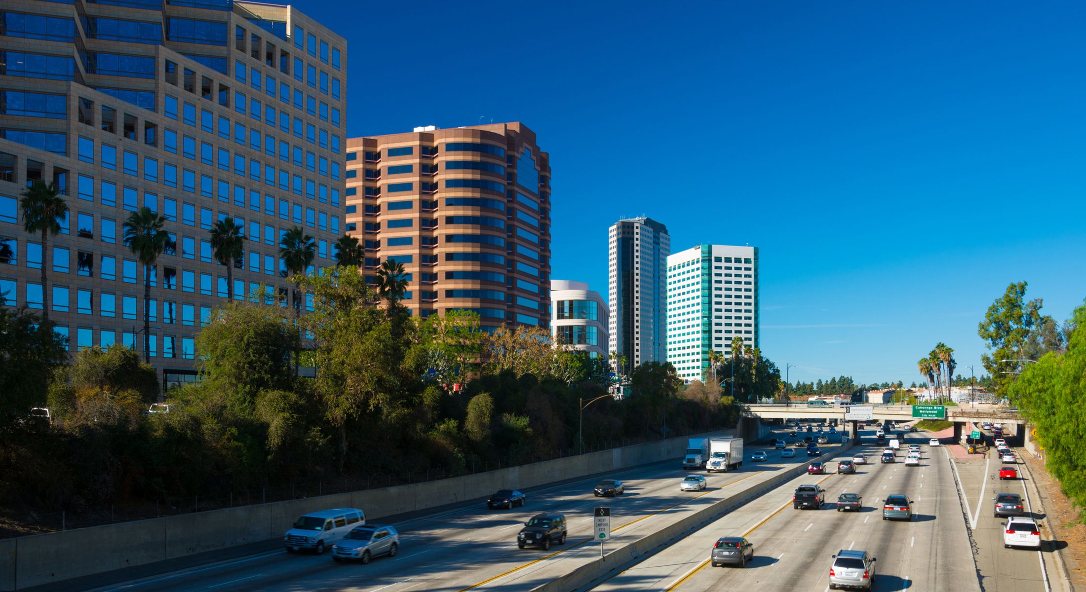 City skyline with highway and palm trees.