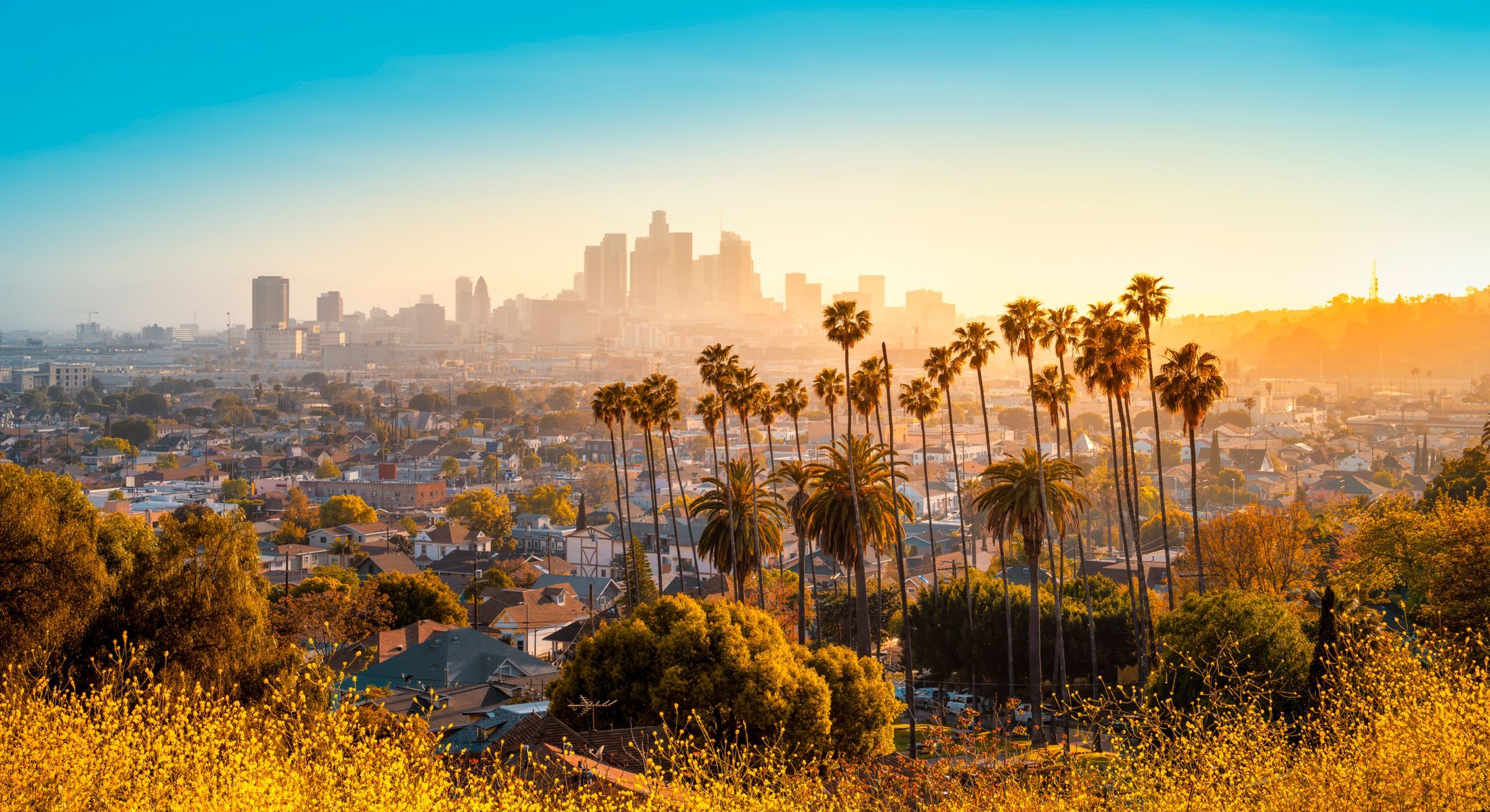 Los Angeles skyline at sunset with palm trees.