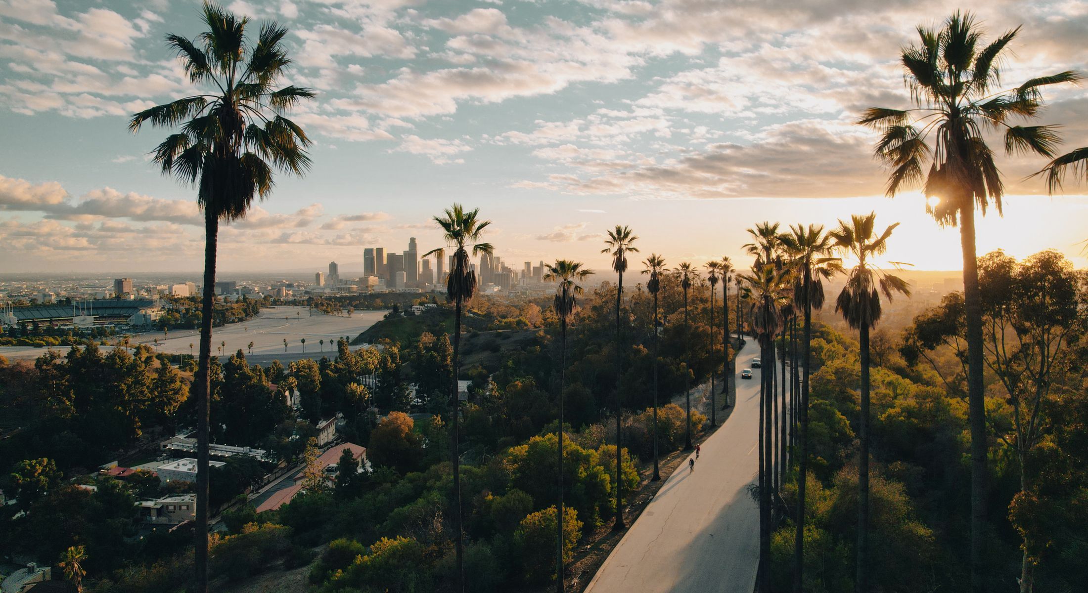 Los Angeles skyline with palm trees at sunset.